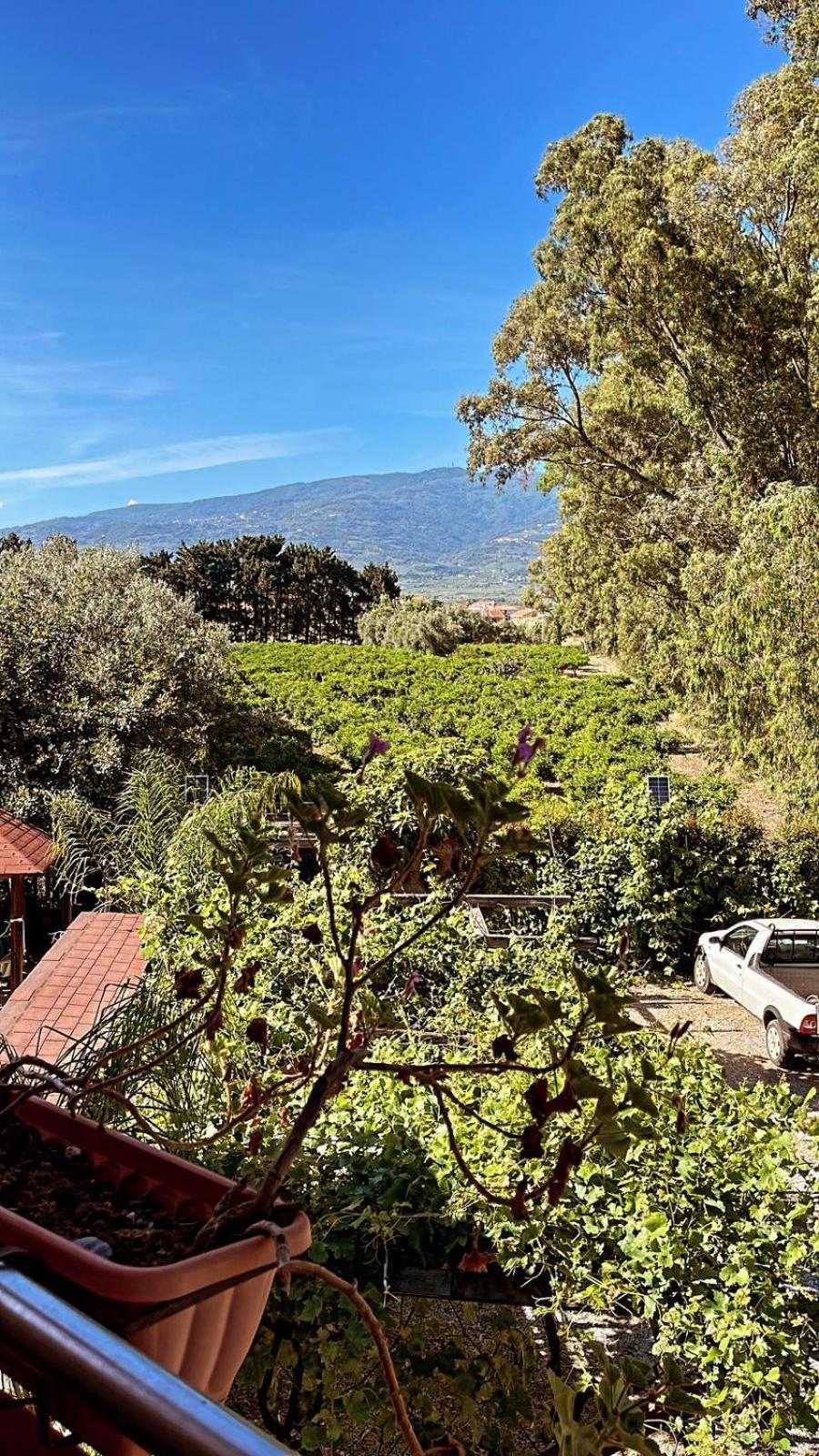 B&B Pineta Mare Lamezia Terme Eksteriør billede