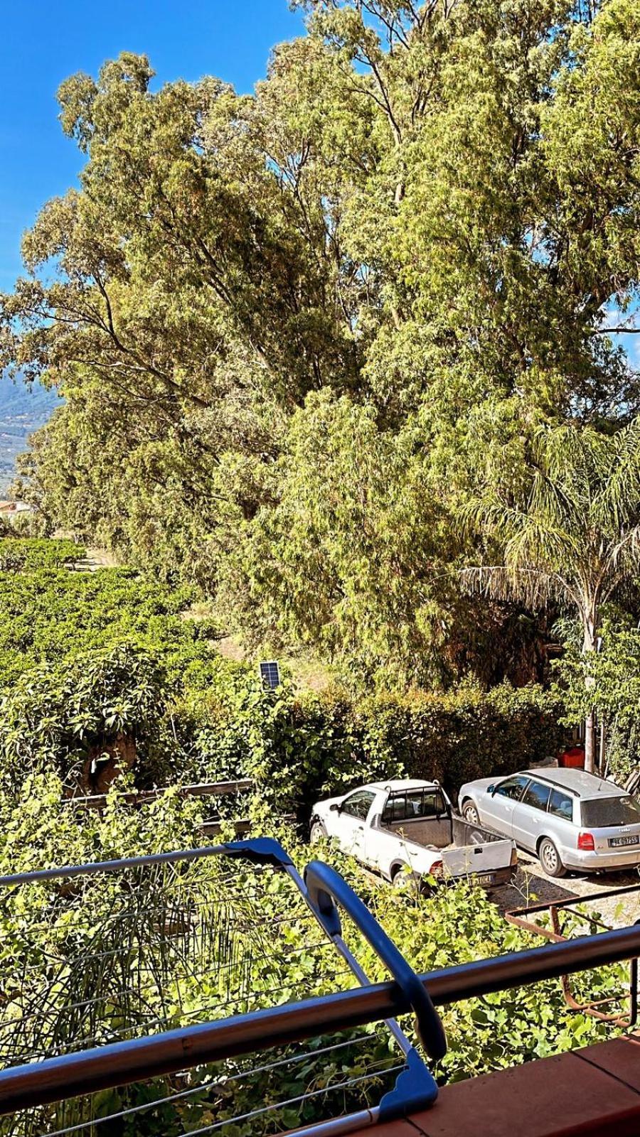 B&B Pineta Mare Lamezia Terme Eksteriør billede