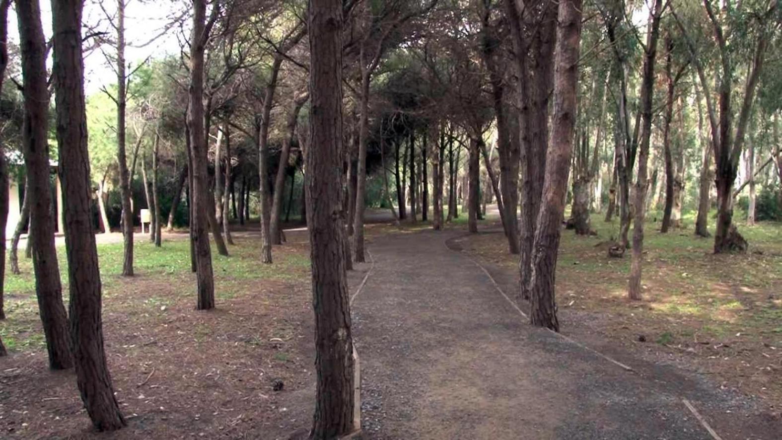 B&B Pineta Mare Lamezia Terme Eksteriør billede